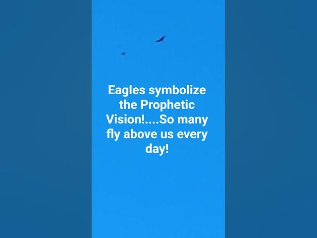 Video thumbnail for Eagles symbolize the Prophetic Vision! #faithbased #motivation #inspiration
