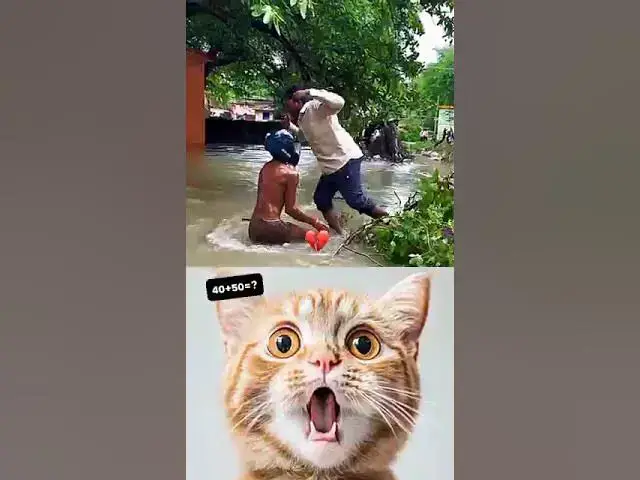 Video thumbnail for #gameape#smartgaudget#catloverlife#catloverlife