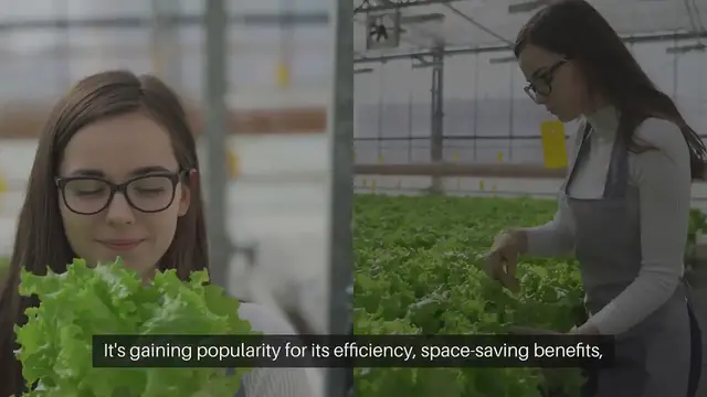 Video thumbnail for Hydroponic Gardening at Home