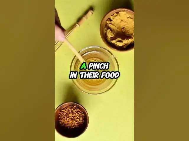 Video thumbnail for 5 Easy Home Remedies for Worms in Dogs