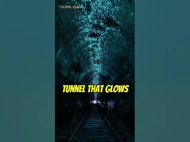 Video thumbnail for Tunnel Glows with Magical Glowworms in Australia