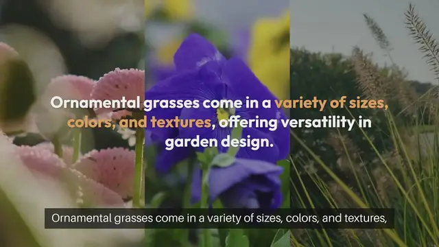 Video thumbnail for Starting Seeds for Ornamental Grasses