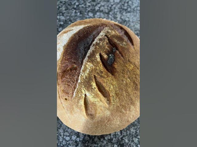 Video thumbnail for Bake it anyway..it's gut healthy when it's Sourdough