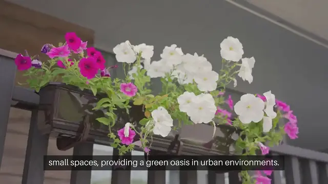 Video thumbnail for Balcony Garden Ideas