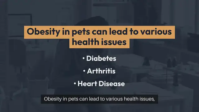 Video thumbnail for Pet Weight Loss Plan