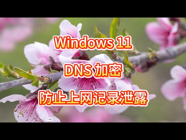 Video thumbnail for 公共 WiFi 防监听，DNS 加密保护上网记录