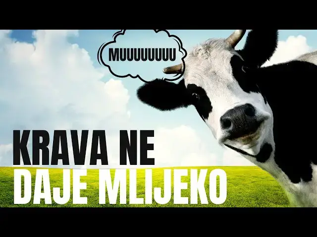 Video thumbnail for Krava ne daje mlijeko