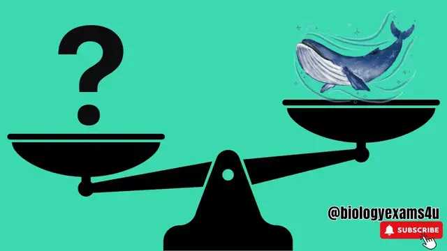 'Video thumbnail for Bigger than Blue whale! The largest organism is a Fungus @biologyexams4u'