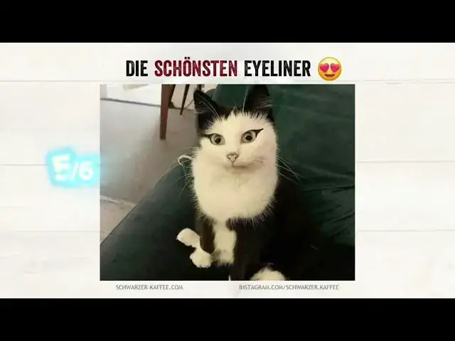 'Video thumbnail for Ich sag nur Nr 5 😍'
