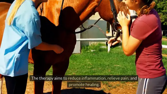 Video thumbnail for Understanding Intelligent Bioenergetics in Equiscope Therapy