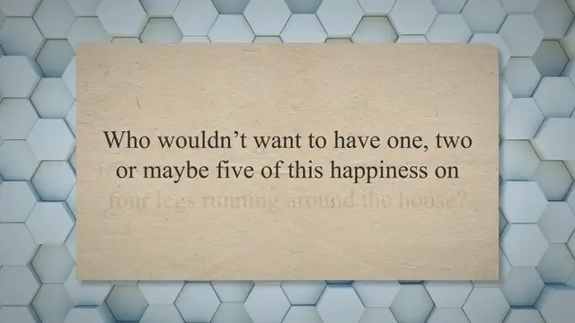 Video thumbnail for Top 15 Dog Breeds You Would Love To Keep As Pets