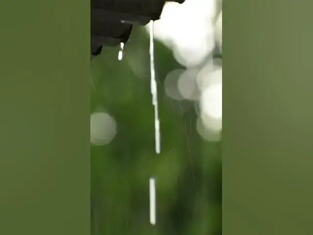 'Video thumbnail for #rainoundforsleep #rain #relaxingsounds #relax #peace'