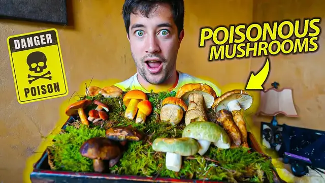 'Video thumbnail for China's HOT POT Sends 100's to the HOSPITAL  Deadly Mushrooms in Yunnan!'