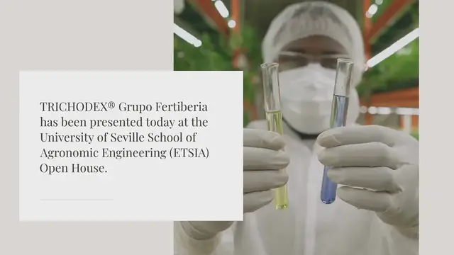 Video thumbnail for University of Seville Open House