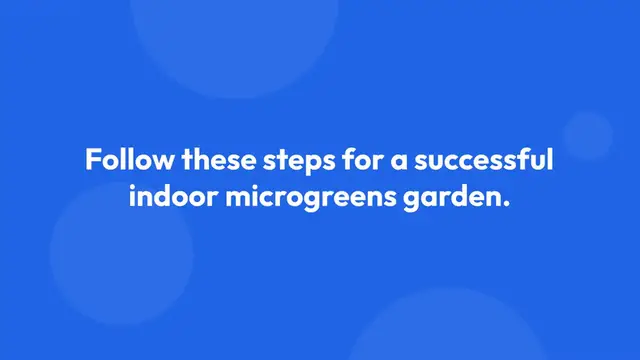 Video thumbnail for How to Grow Microgreens Indoors