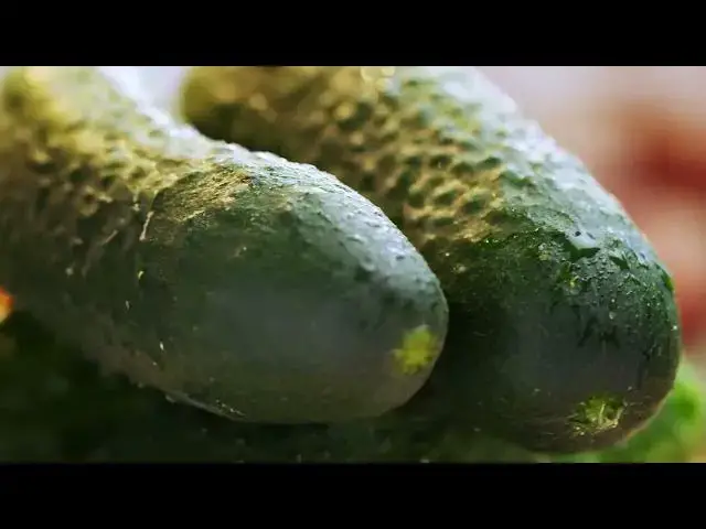 Video thumbnail for Foods That Kill & Eliminate Cancer