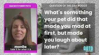 Video thumbnail for monila's dog rummages through her trash. At least he's sorry!