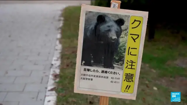 'Video thumbnail for Japan deploys army to counter bear attacks'