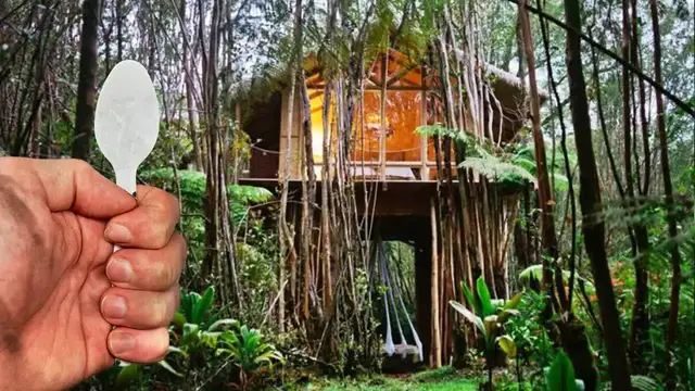 'Video thumbnail for frenchiefries: 24 hours solo jungle survival! building shelter & first time camping adventure in mexico'