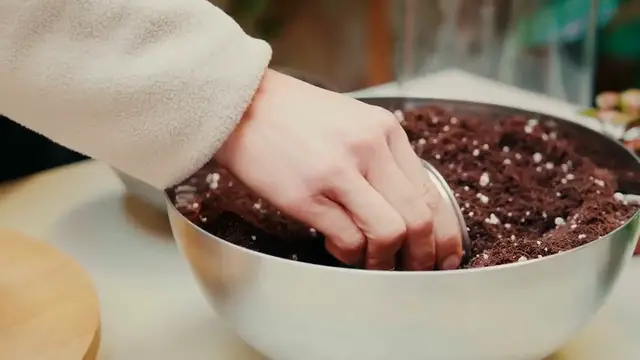 Video thumbnail for Growing Succulents from Leaves: Easy Propagation Guide