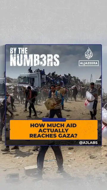 'Video thumbnail for How much aid actually reaches Gaza?'