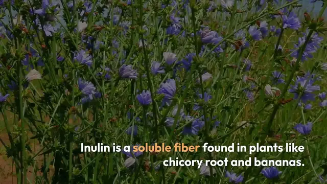 Video thumbnail for Inulin Benefits for Gut Health