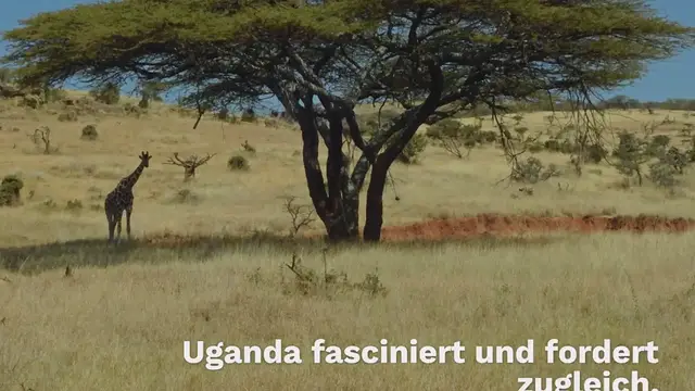 Video thumbnail for Erfahrungsberichte für Uganda auf eigene Faust bereisen