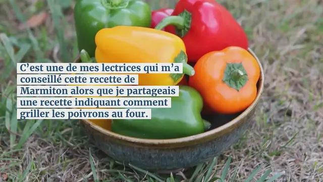 Video thumbnail for Comment cuire des poivrons au micro ondes