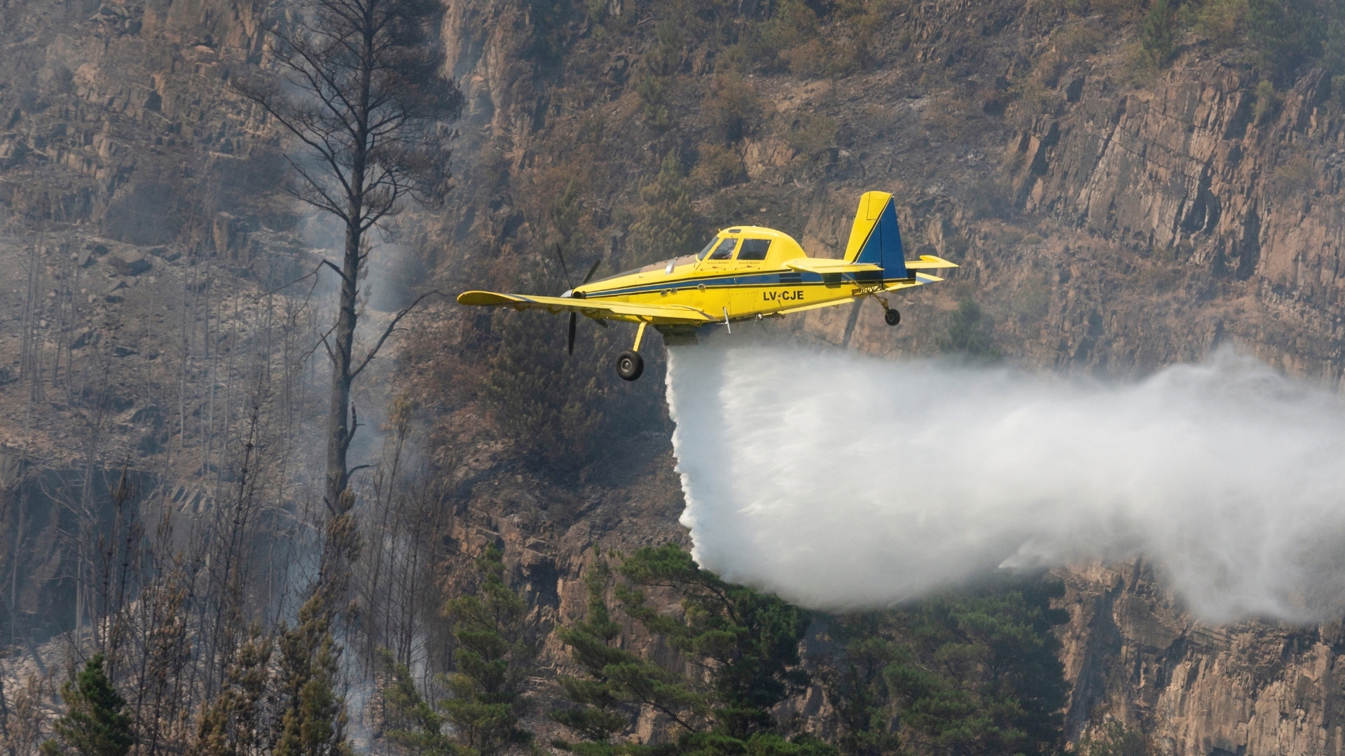 Video thumbnail for Argentina battling raging fires: Patagonia's forest under threat