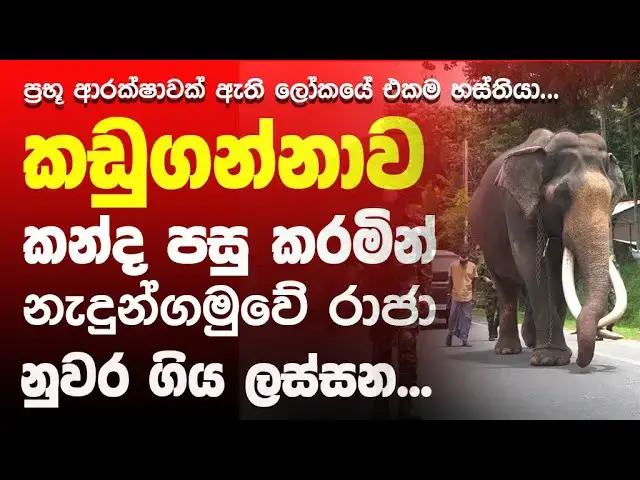 Video thumbnail for Kings who go to Kandy under the protection of the elite
