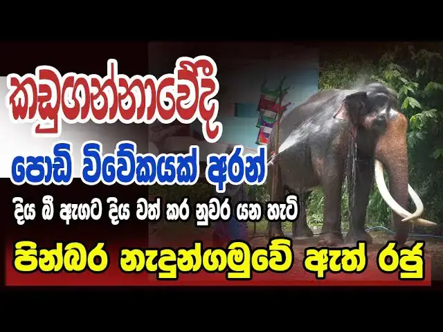 Video thumbnail for Raja goes to Kandy with a short rest at Kadugannawa