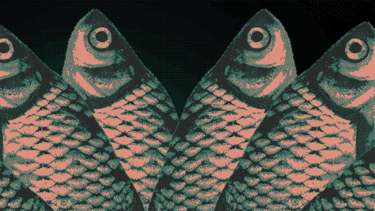 Video thumbnail for Meaningless Random Numbers - Official Announcement Trailer