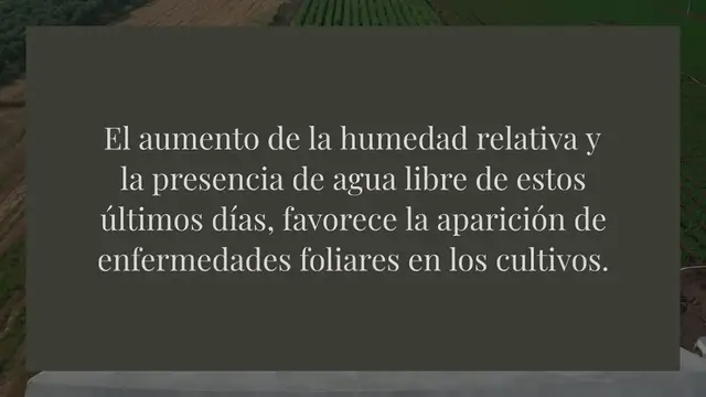 Video thumbnail for Botrytis cinerea el patógeno con mayor distribución en el mundo