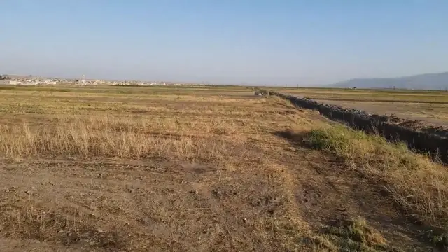 Video thumbnail for Syria: Heat, drought, aging facilities compound Syria's agricultural woes.