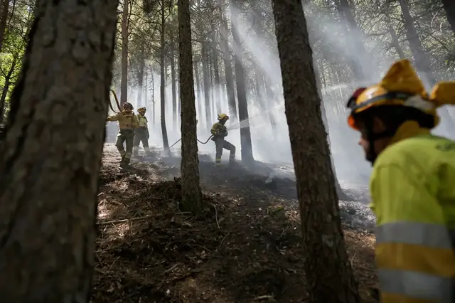 Video thumbnail for Europe wildfires: Fire crews continue to battle flames in south