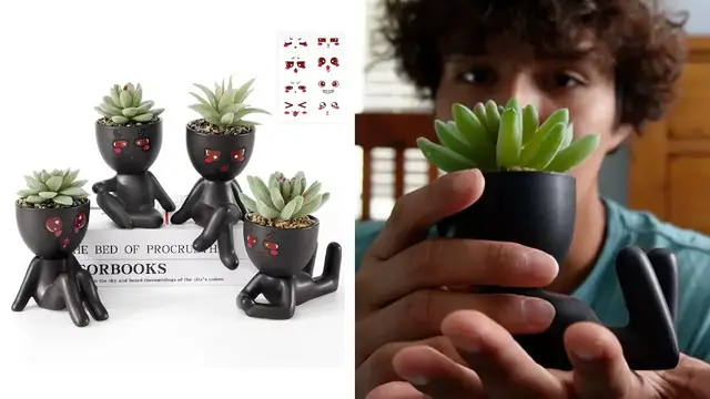 Video thumbnail for Yastouay 4 Pack Fake Succulents Plants Review