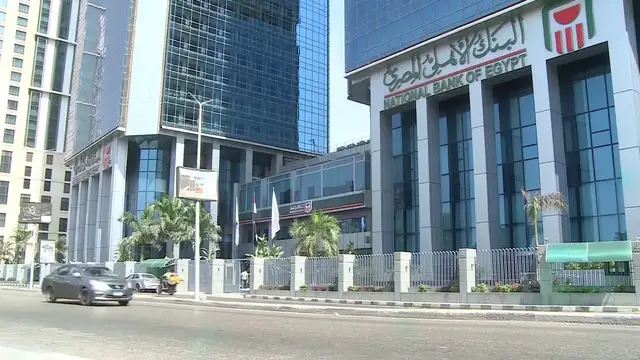 Video thumbnail for Egypt: Egypt's foreign reserves hit record 56.3 bln USD in July.