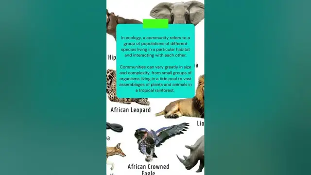 Video thumbnail for This is what is COMMUNITY in ECOLOGY #shorts