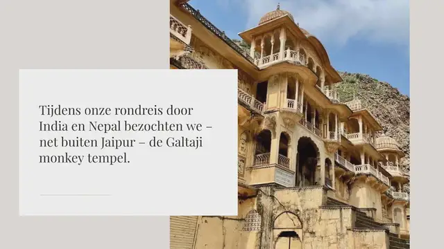 Video thumbnail for Galtaji monkey tempel Jaipur