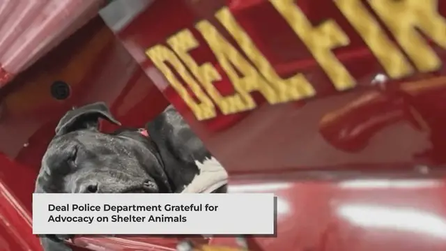 'Video thumbnail for Miss Peaches Inspires Jersey Shore Fire Company to Adopt Gus, The Fire Dog'