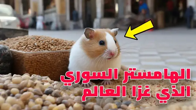 Video thumbnail for قصة  الهامستر السوري الذي غزا العالم