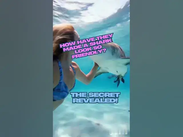 'Video thumbnail for How Have They Made a Shark Look So Friendly? The Secret Revealed!'