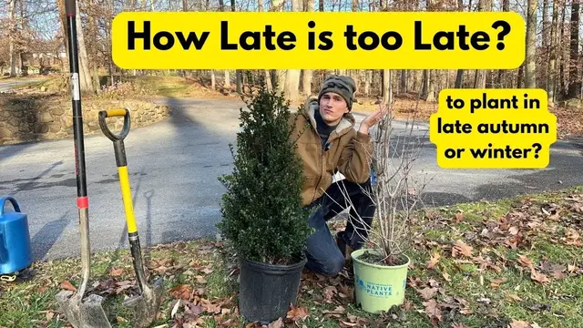 Video thumbnail for How Late Can You Plant in the Garden? Late Autumn & Winter - Shrubs, Trees, Perennials