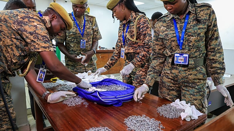 Video thumbnail for Kenya battles ant smuggling as giant harvester queens fetch hundreds of dollars
