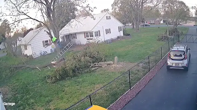 Video thumbnail for US: Tree Trimming Ladder Accident.