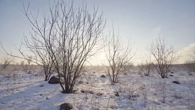 Video thumbnail for Hot cocoa recipe