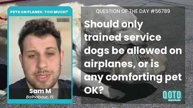 Video thumbnail for Sam says service animals have gotten too wild. Just dogs, please!