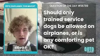 Video thumbnail for Elliott supports all service animals on planes... within reason!