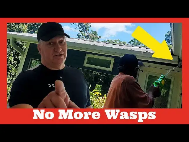Video thumbnail for Killing Wasps With Spray Gun