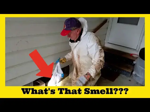 Video thumbnail for Dragging A Skunk from Under A House
